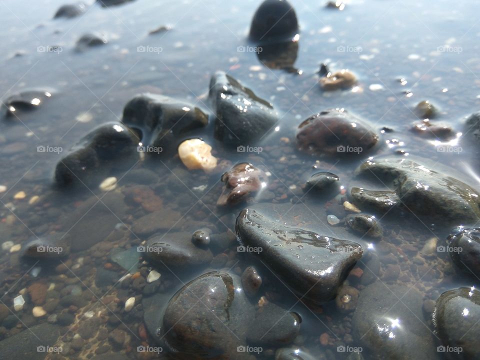 sea stone