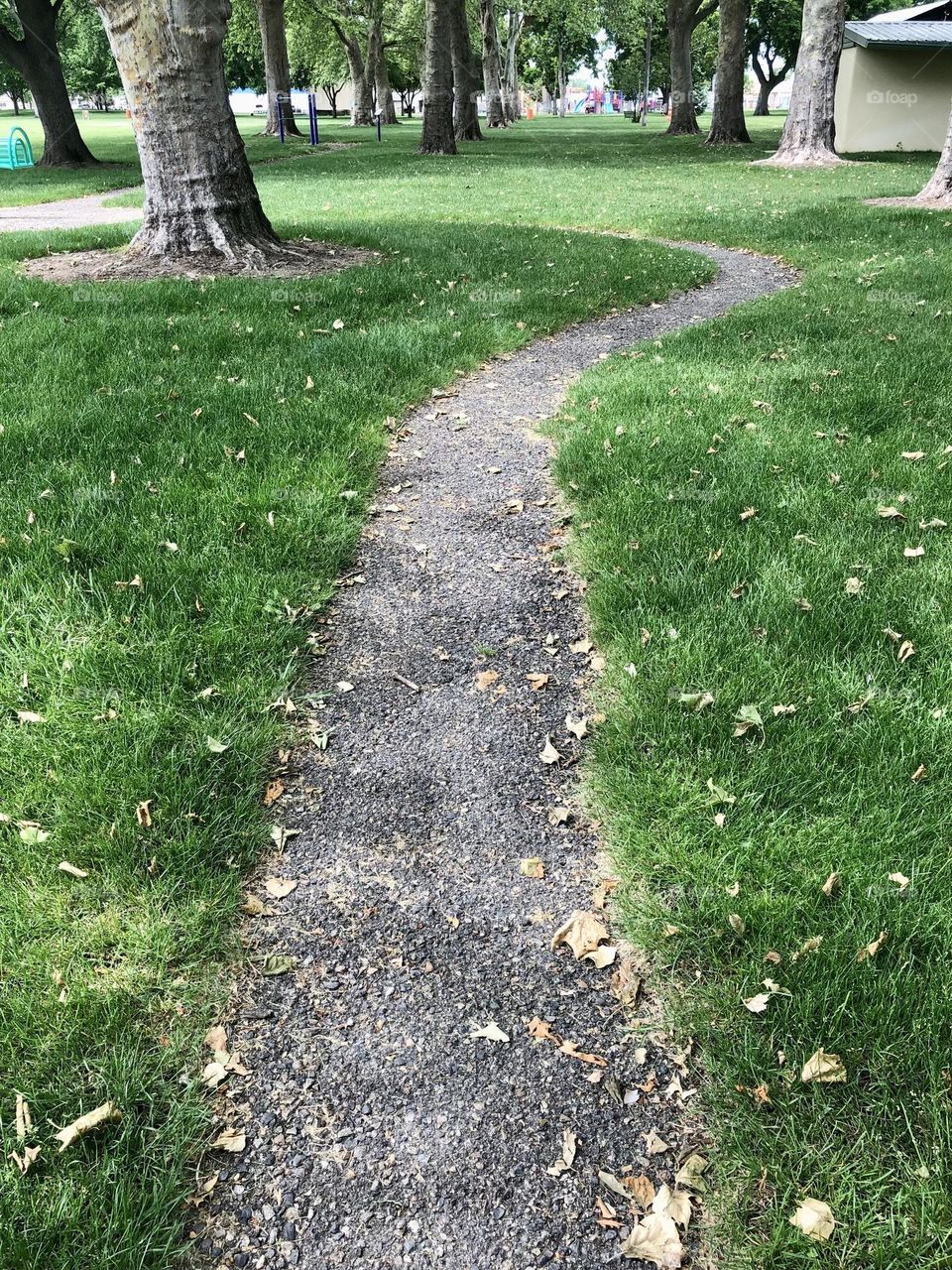 Walking path in a city park 