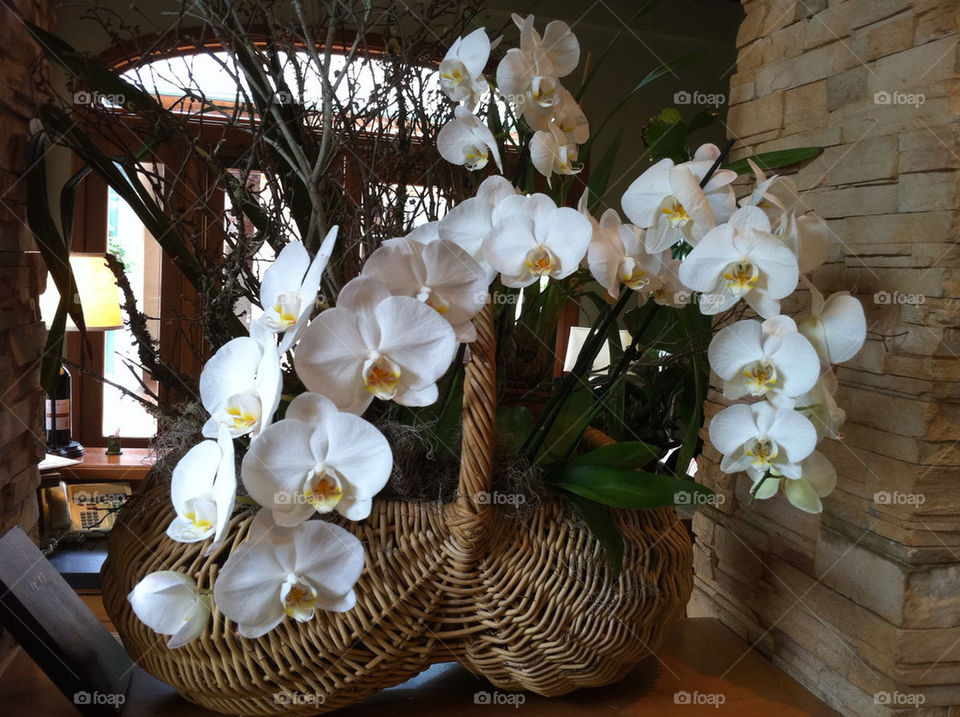 pretty flower white china by swordfish