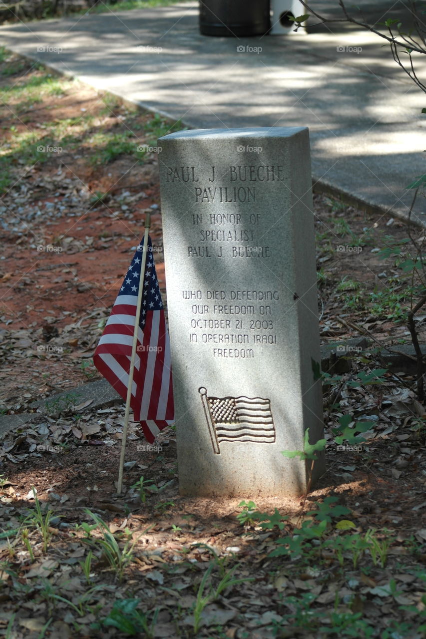 Remembering the veterans