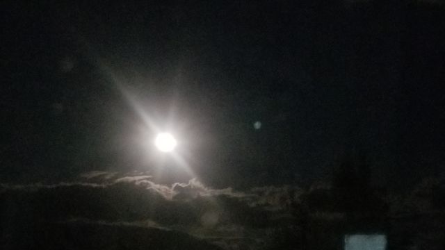 Night moon