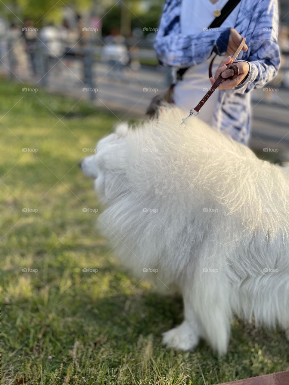 Walking with dog