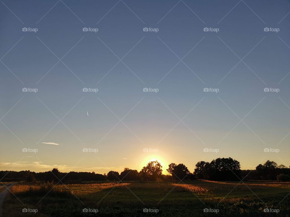 Sunset with silhouette of landscape and of trees, the sun hidden behind a big tree and a huge blue sky