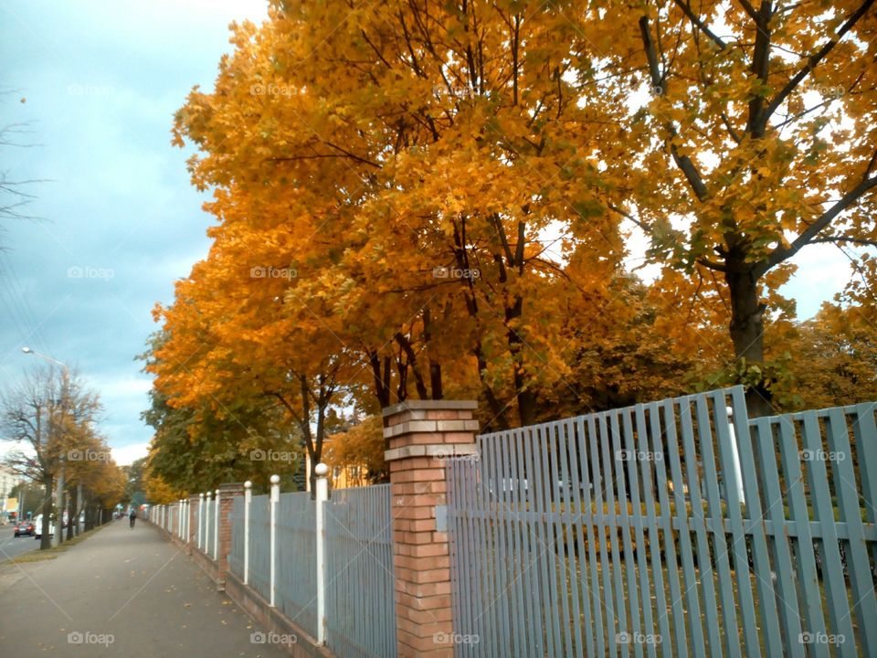 autumn street