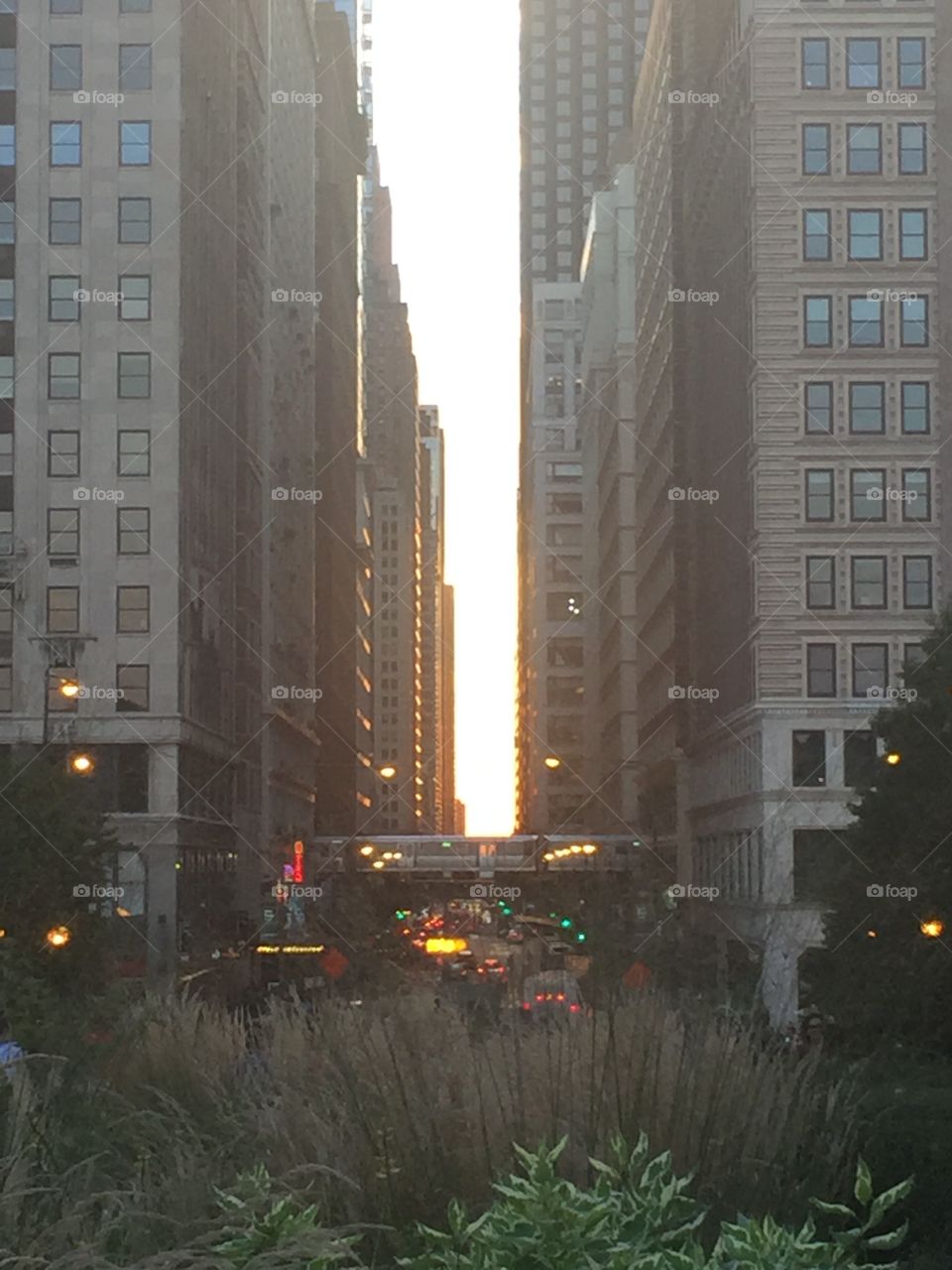 Sunset between the buildings with the "L" running 
