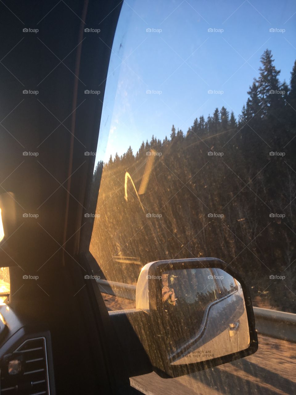 Driving while sun rises and shows the trees