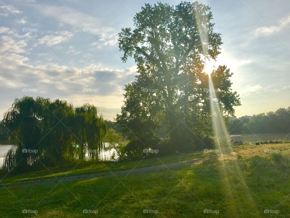 Morning Sun at Holiday Lake