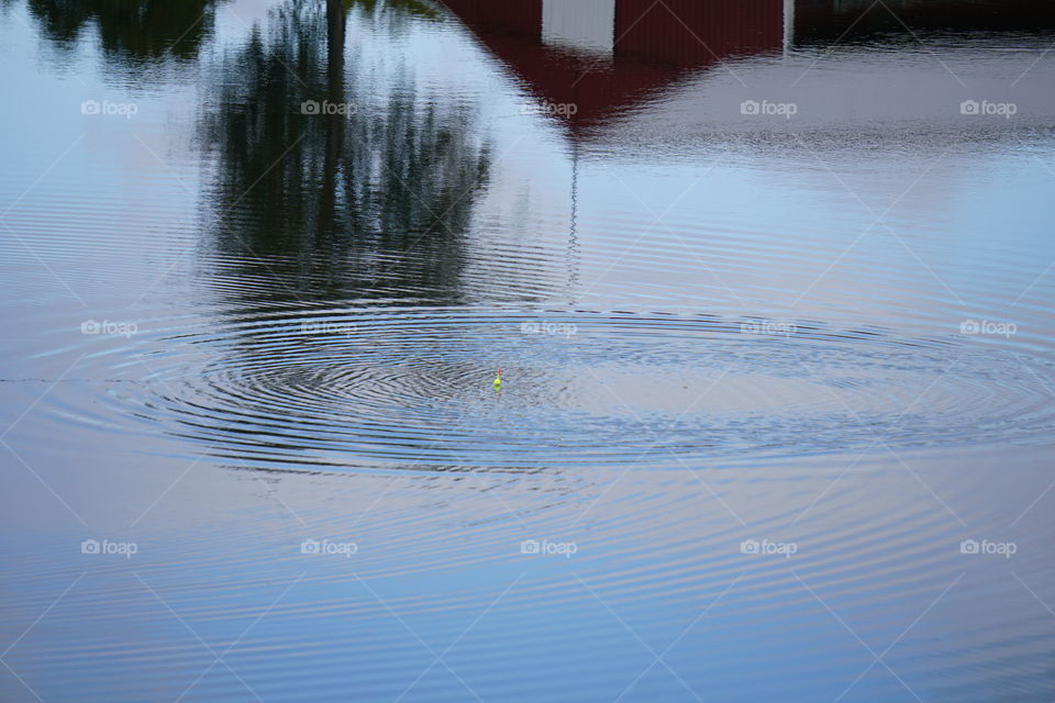 Ripples in the water. 