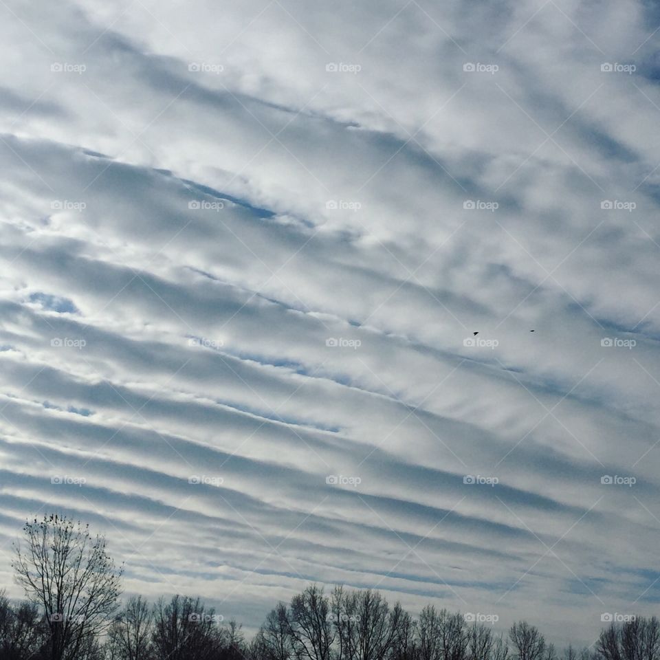 Wave clouds 