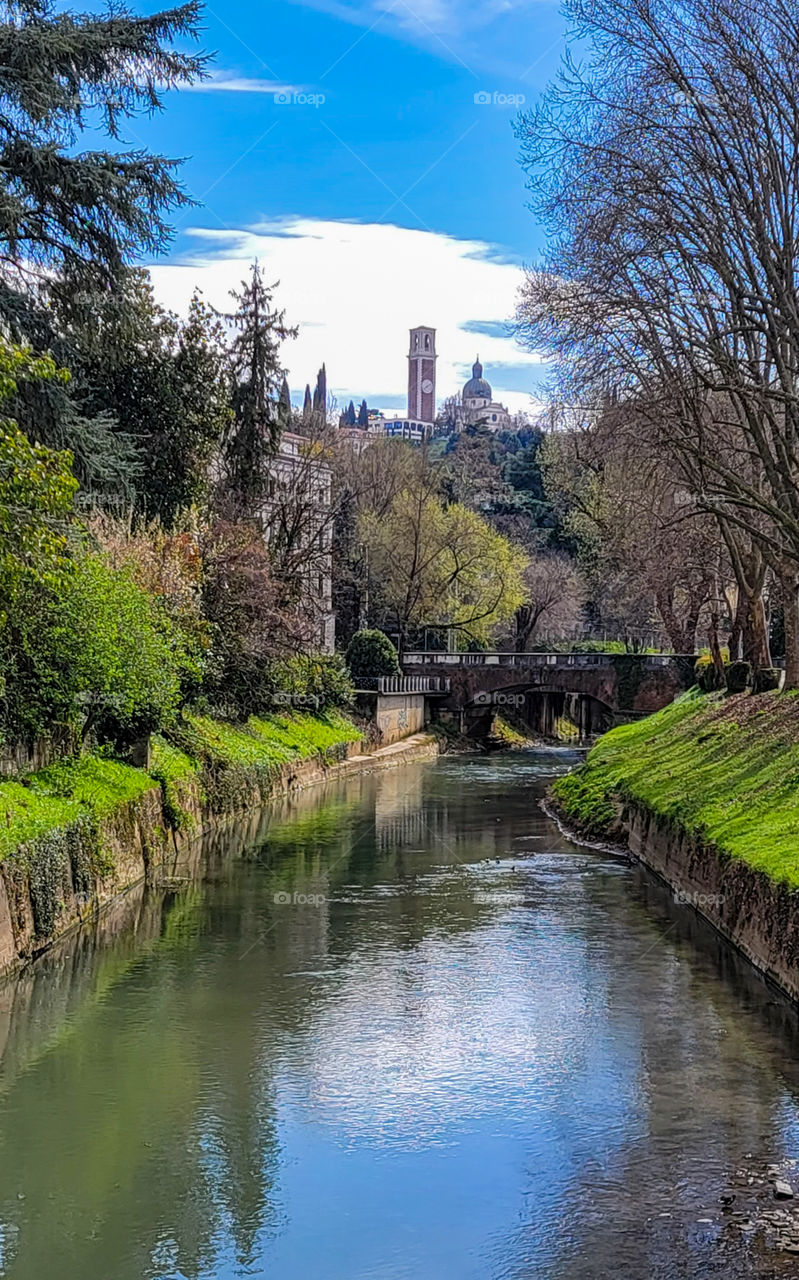 the calm of an afternoon spring walkabout