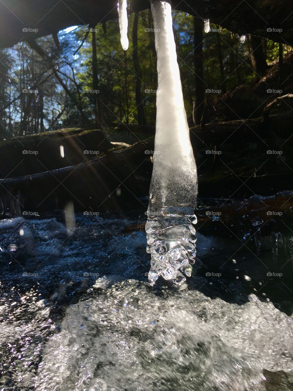 Icicle hanging over whitewater near Foster Falls in South Cumberland State  Park in Tennessee