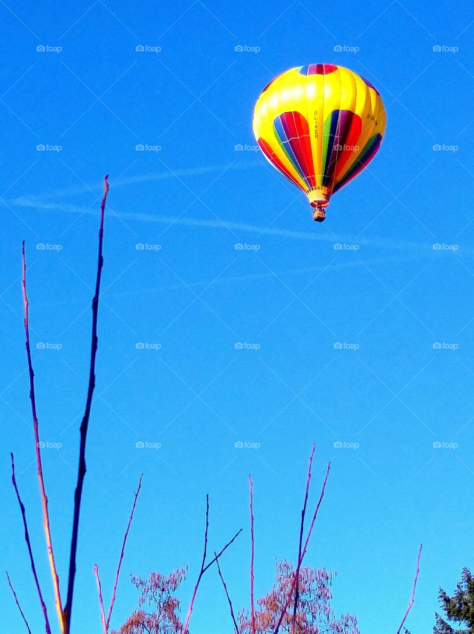 hot air balloon