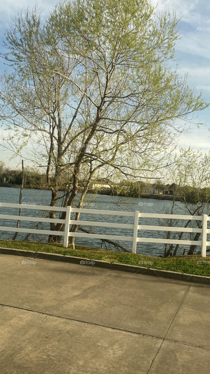 Short exposure “Looking out my RV Kitchen window” trees are Greening Up for Spring and I do believe Summer will be knocking on Springs heels soon enough. So Get Ready for Summer 2020. Today Sunrise was mixed with high clouds.