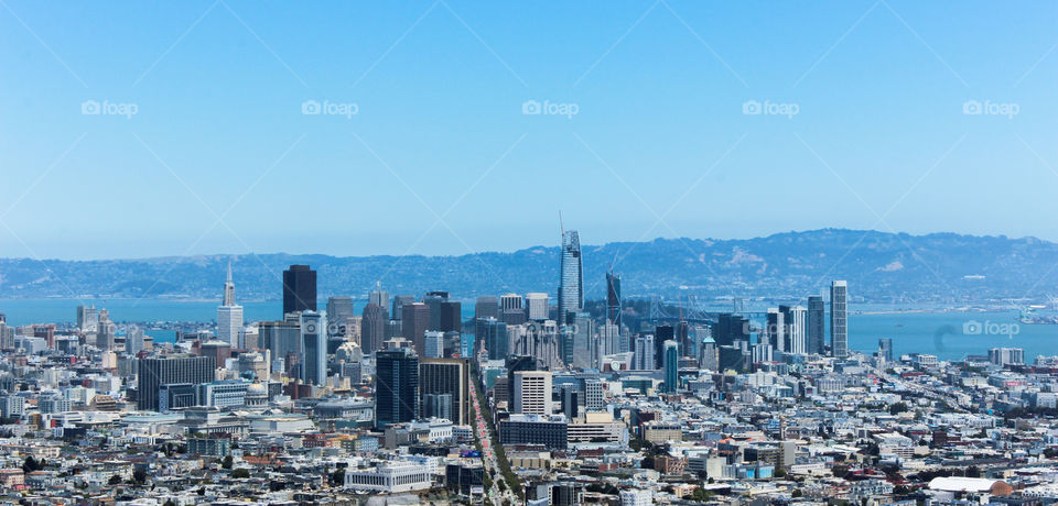 The San Francisco City