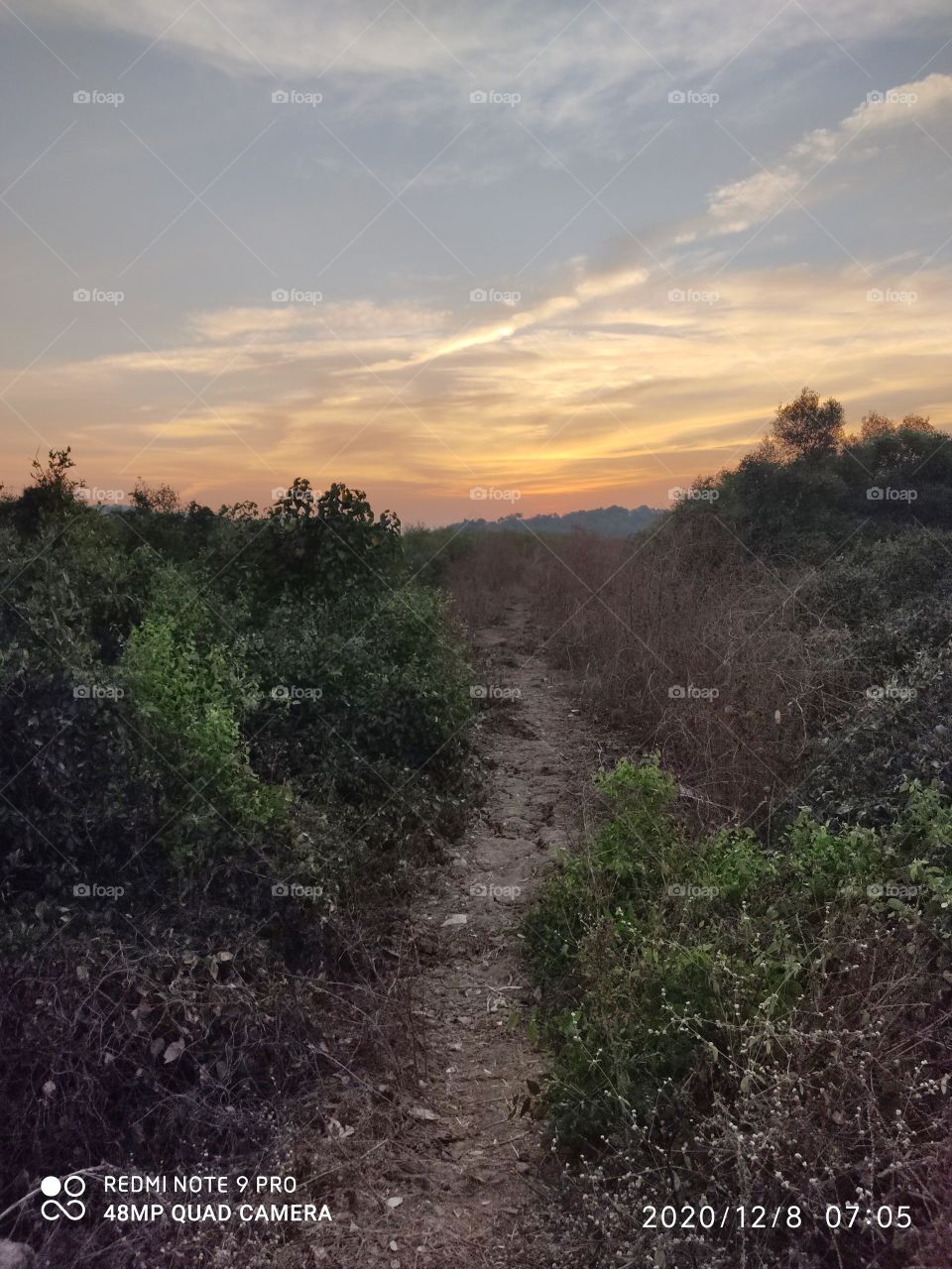 let's find out where it leads🤟