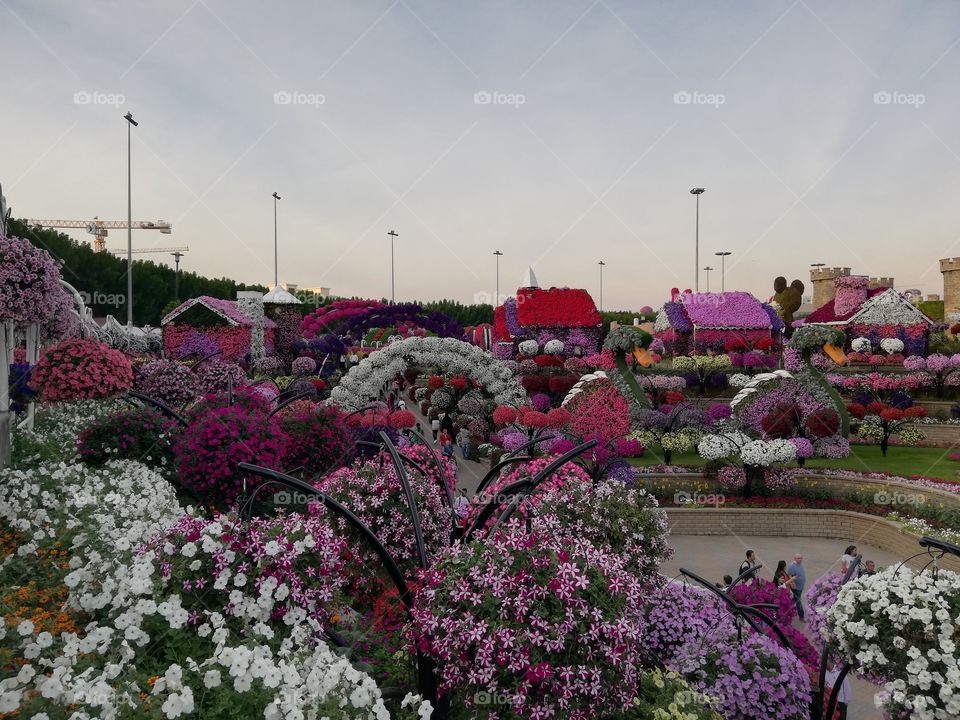 Miracle Garden Dubai