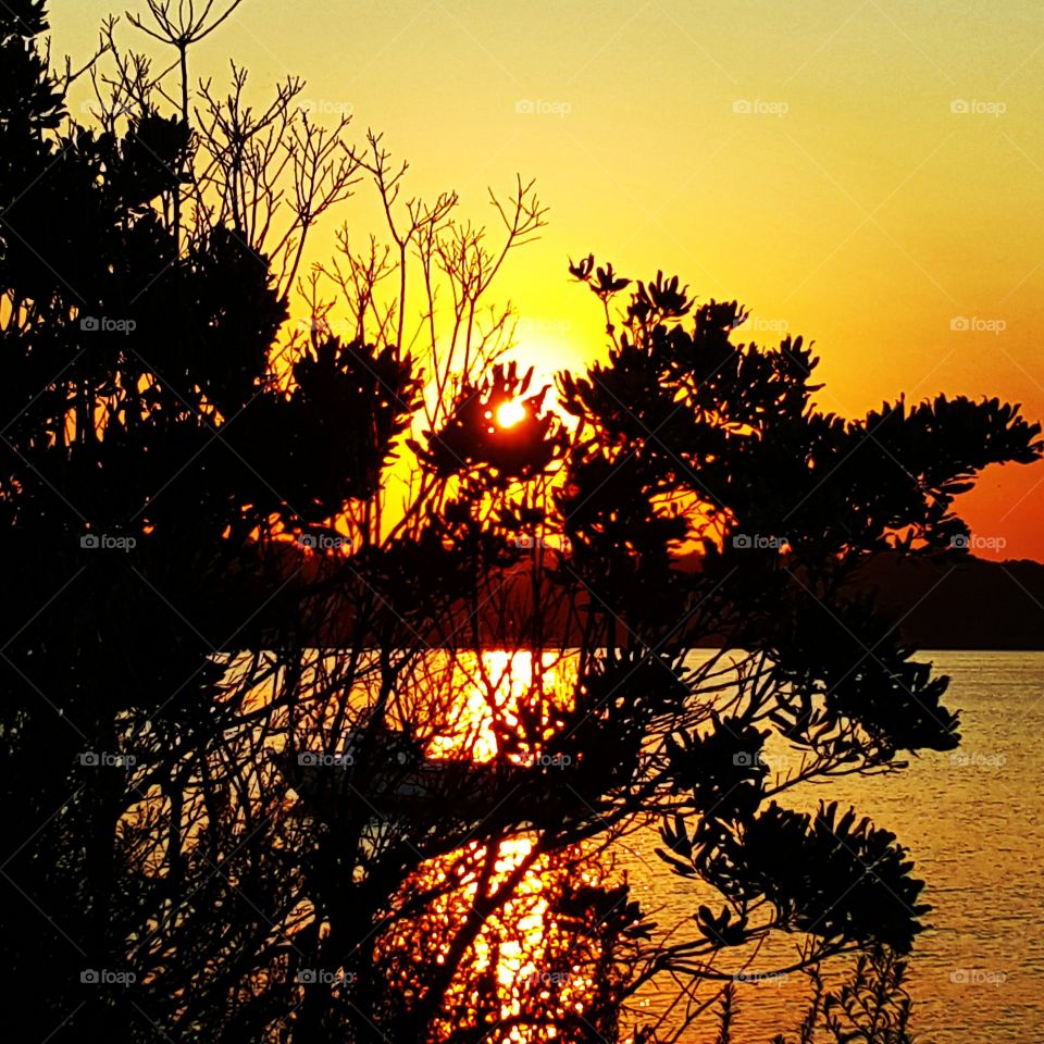 The Golden Hour . A boat anchors in the water to watch the sun set in Shark River., Belmar NJ 