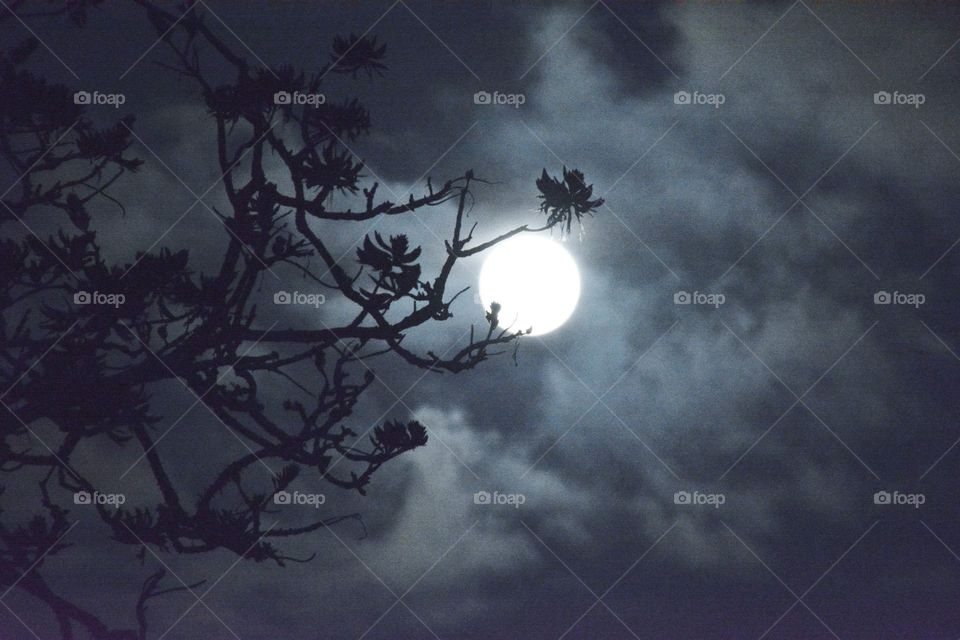 Full moon shining at night where clouds could not cover it 