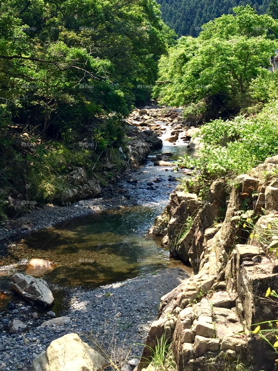 beautiful  mountain stream