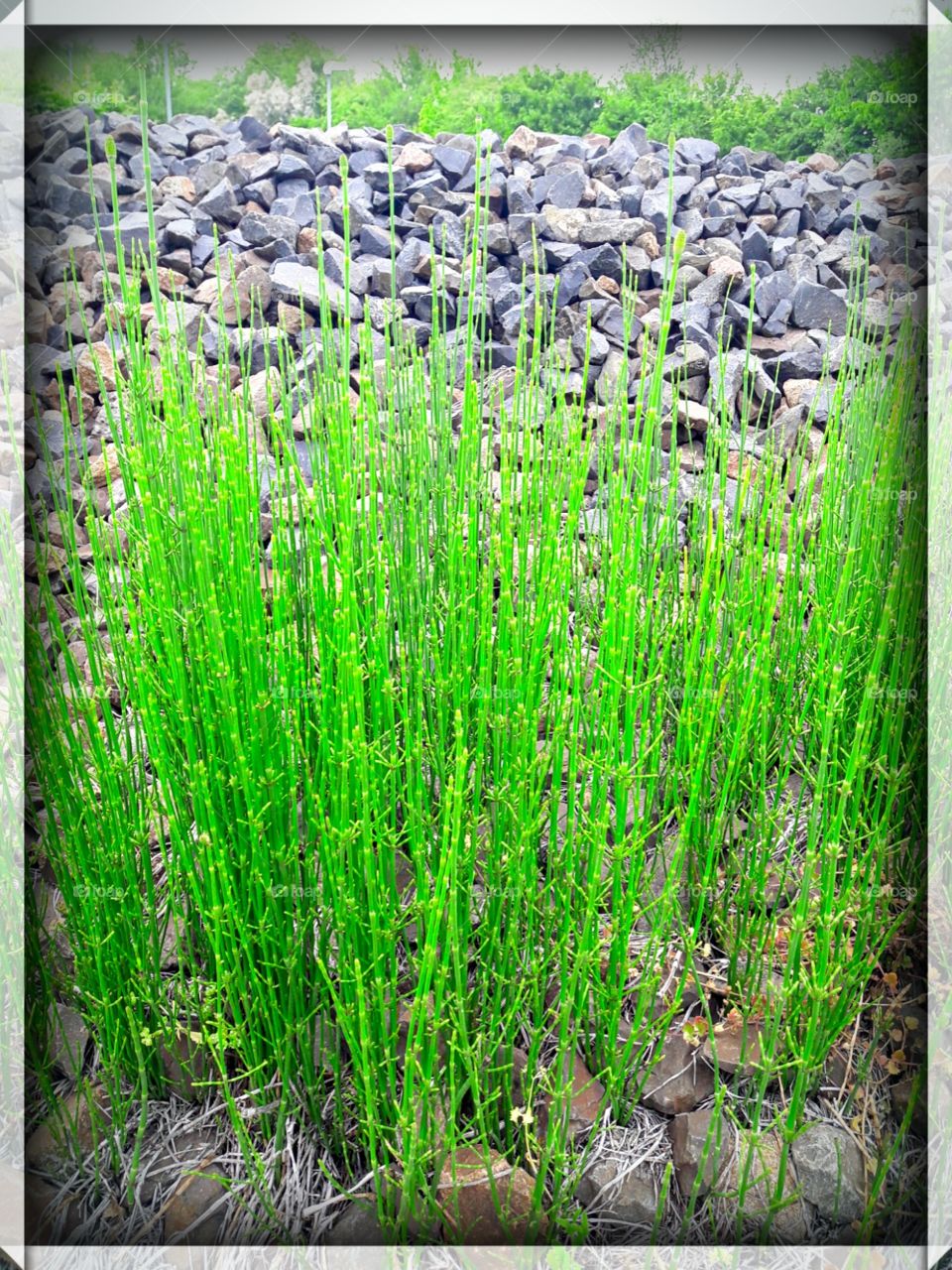 the old era in the present