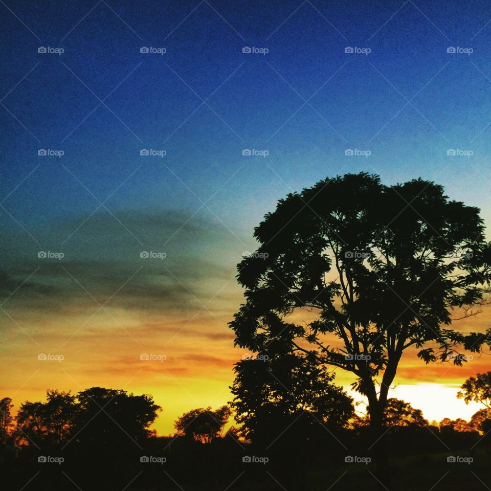 🌅Desperte, #Jundiaí!
Ótima #TerçaFeira a todos.
🍃
#sol #sun #sky #céu #photo #nature #morning #alvorada #natureza #horizonte #fotografia #pictureoftheday #paisagem #inspiração #amanhecer #mobgraphy #mobgrafia #FotografeiEmJundiaí