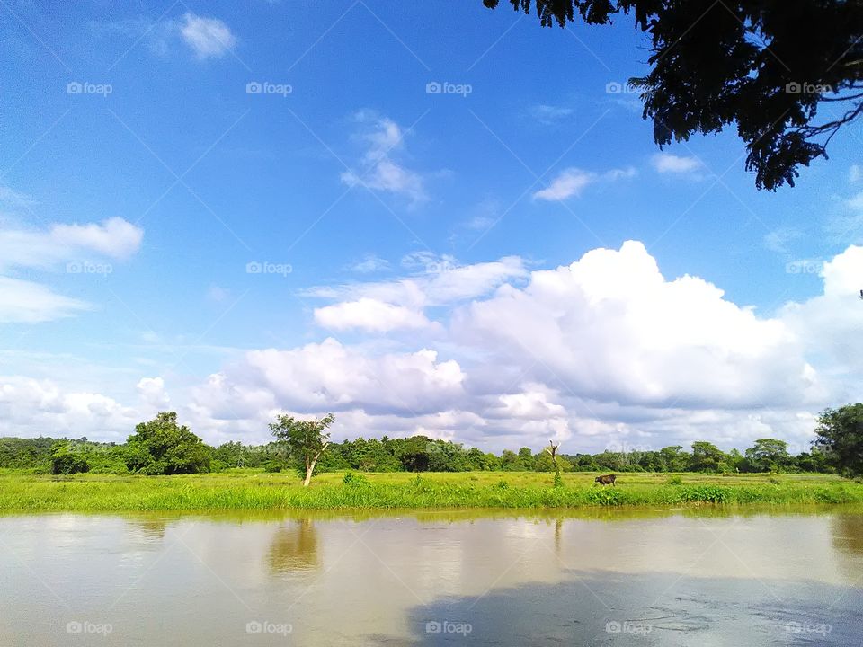 bright sunshine pouring on to the Eye soothing paddy fields surrounded by the forests and the lake.. What a wonderful day to rejoice and enjoy