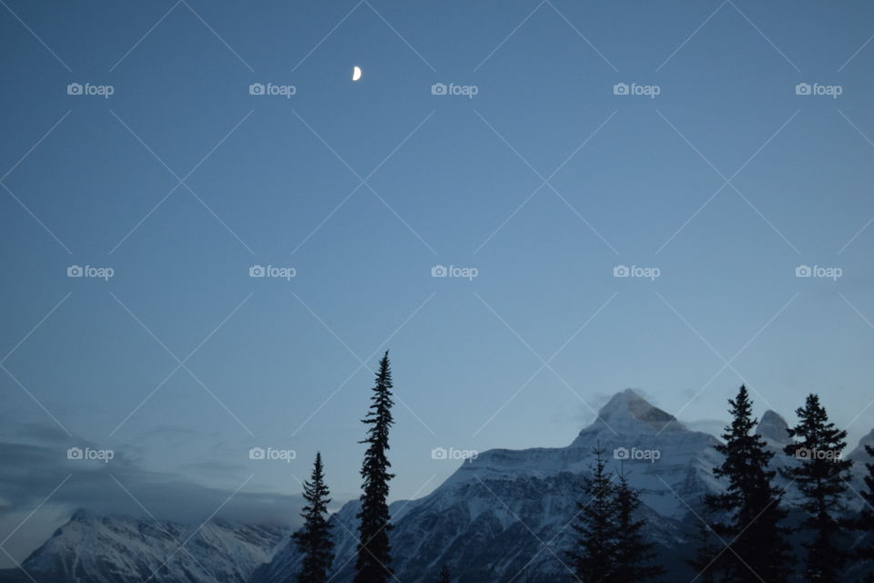 Evening on Icefields Parkway
