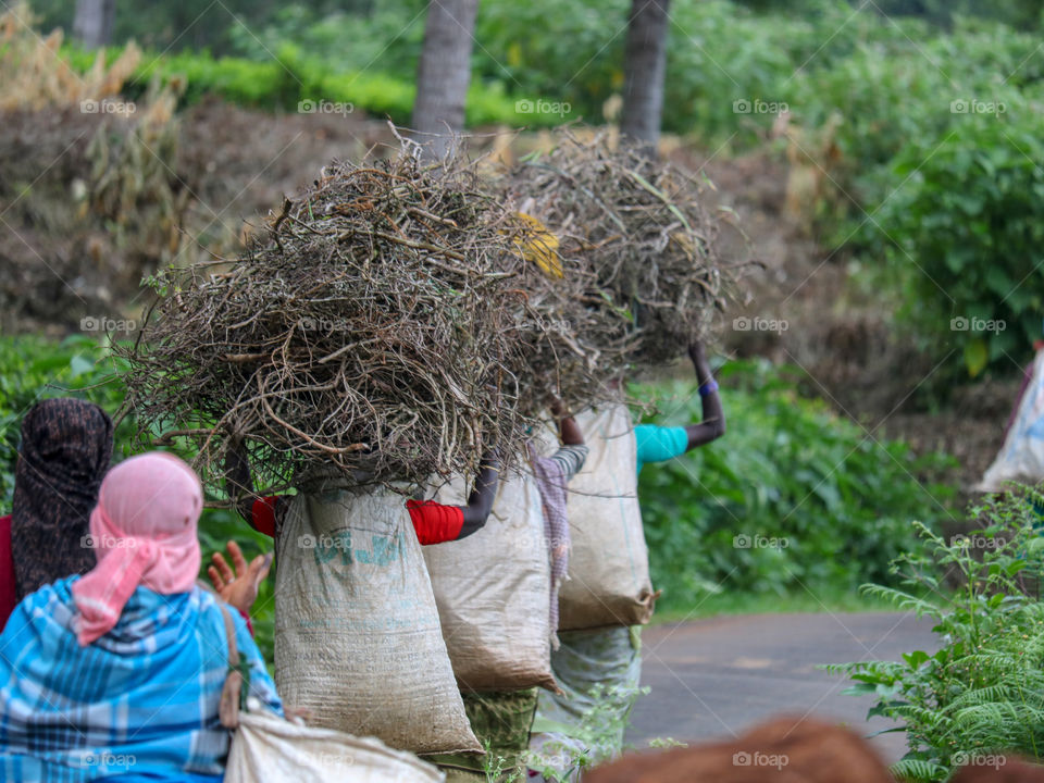 people working on daily wages