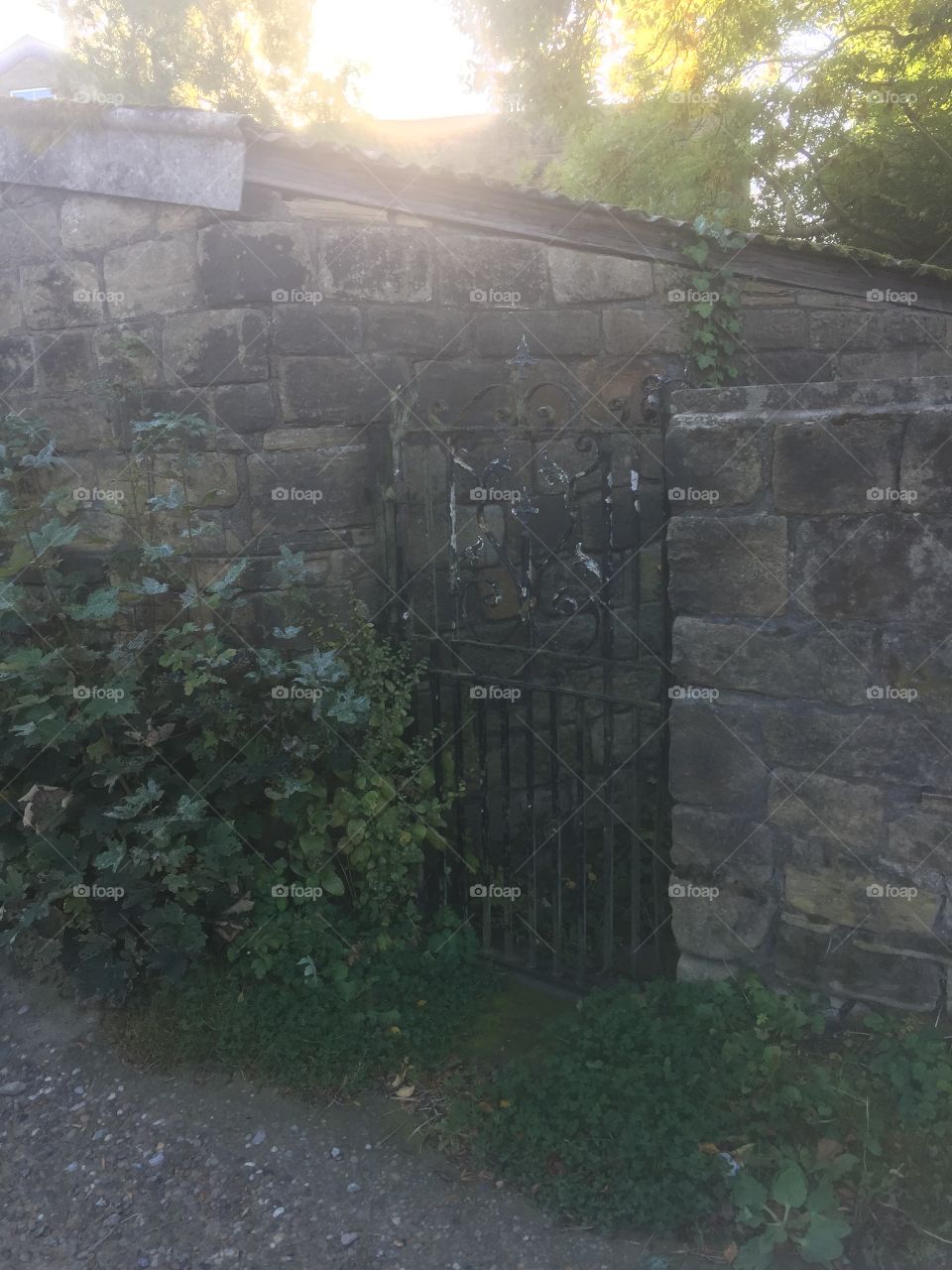 Old gate 