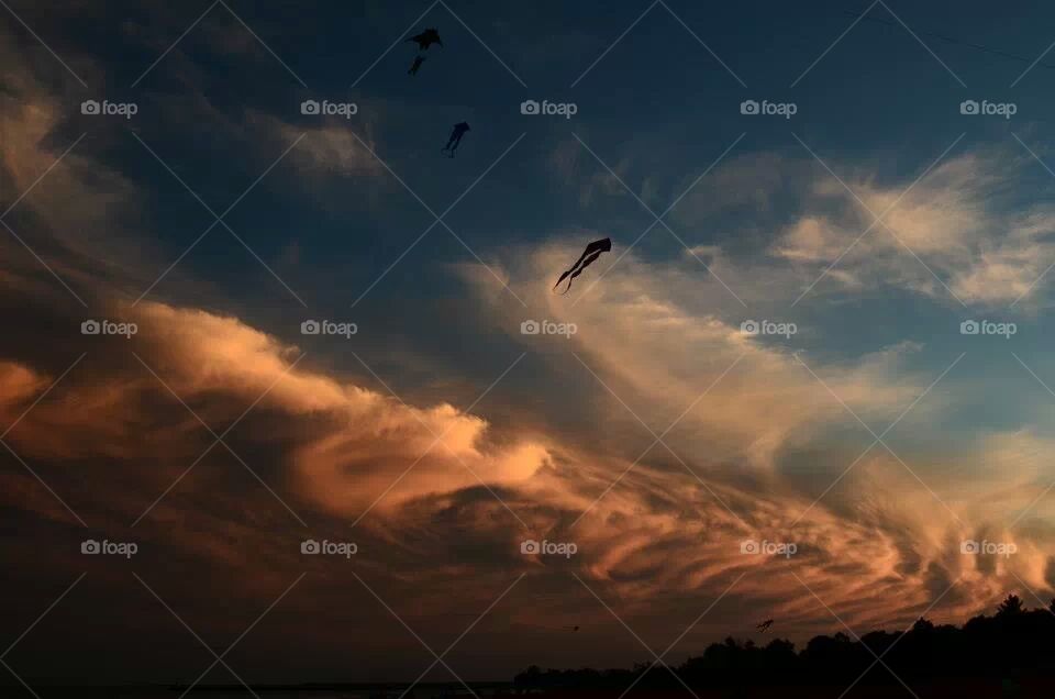 Kites over Lake Michigan