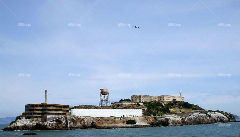 alcatraz island view from Boat