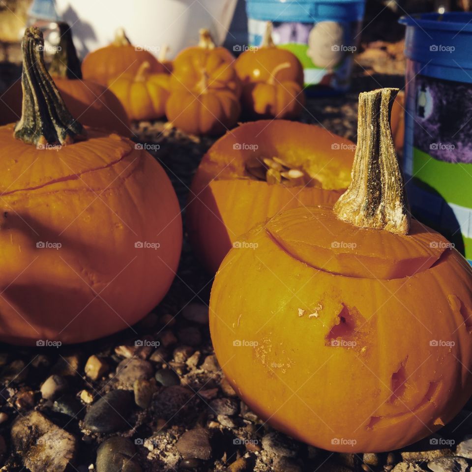 fall pumpkin Halloween carving outside  toes jack o lantern