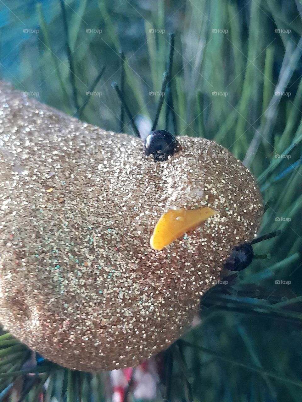 small bird ornament peeking curiously at you from the Christmas tree with blank but adorable eyes.