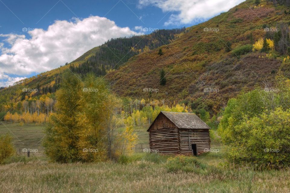 Mountain Cabin 