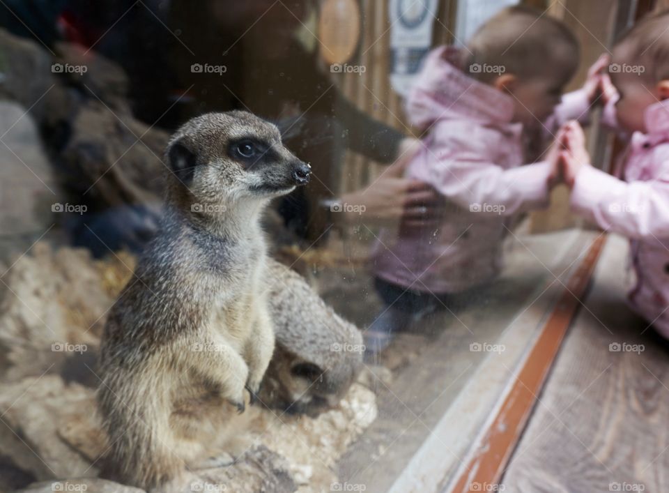 Let Me In, Let Me Out !