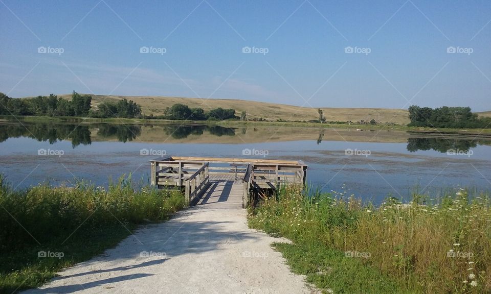 Mallard Lake Forest Preserve