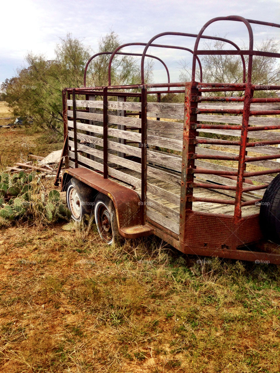 Trailer and Cactus on Texas Ranch