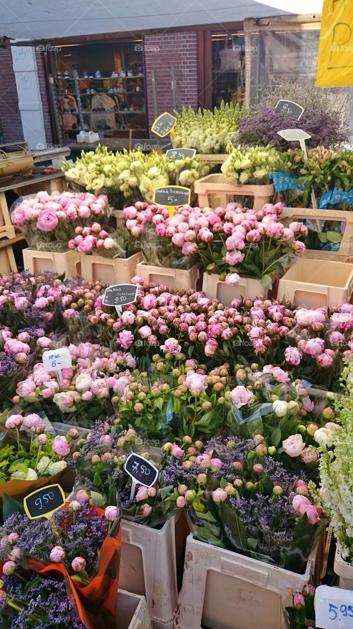 flowers market