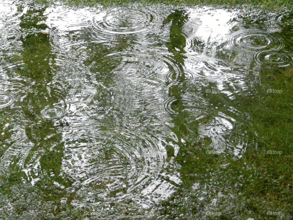Rain drops in the lake