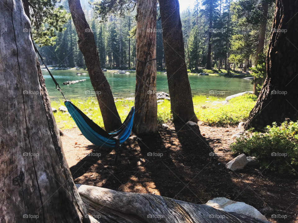Hammock in the woods