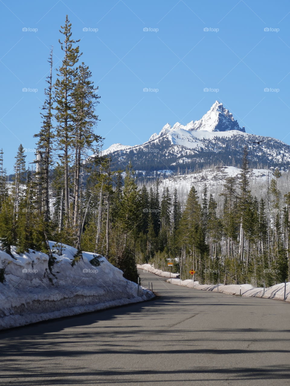 The magnificent snow covered Three Fingered Jack in Oregon’s Cascade Mountain Range against a clear blue sky on a beautiful spring day. 