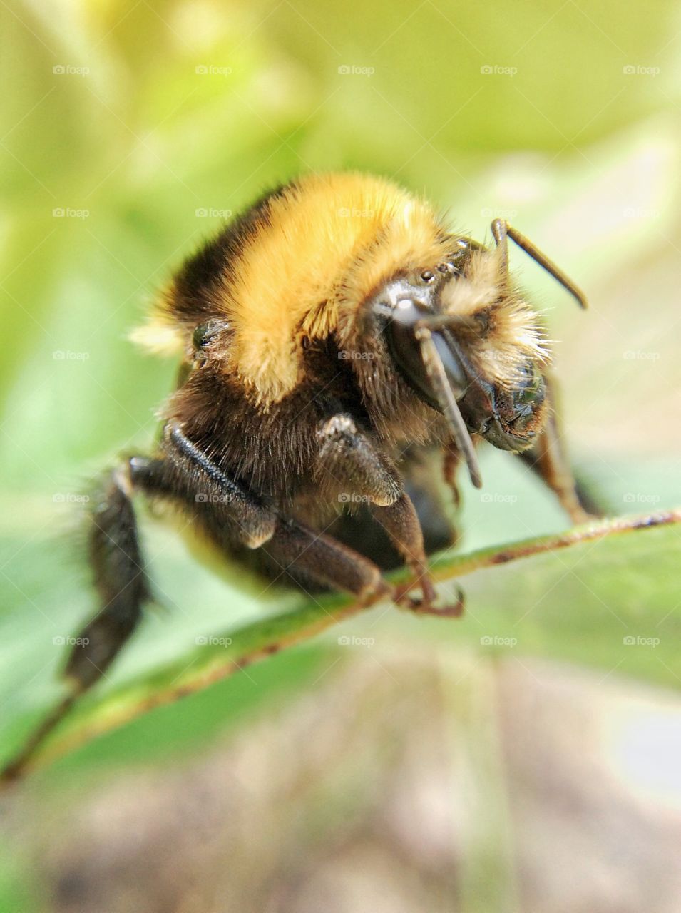 BEEn Chillin' Awhile