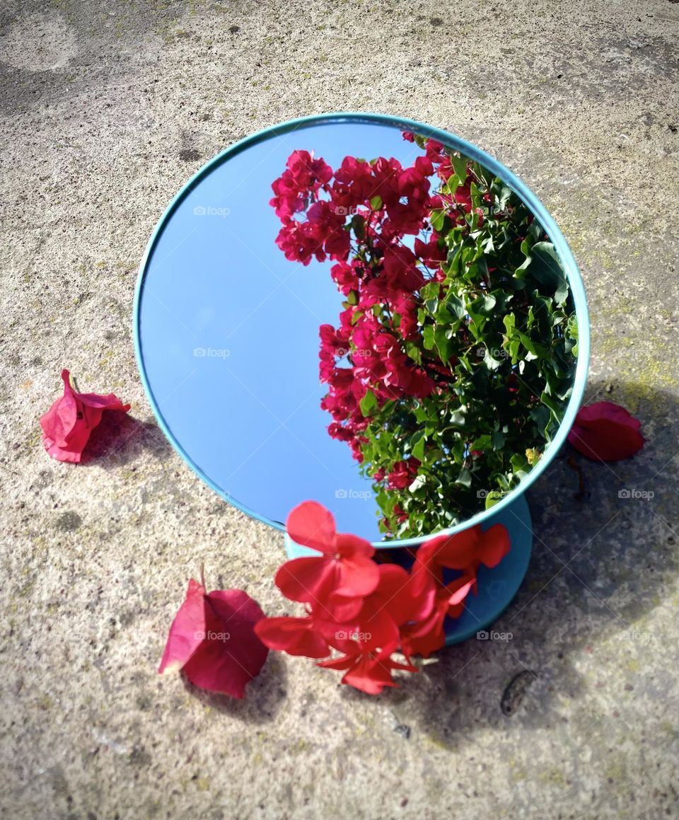 Blossoms is a girl thing. 