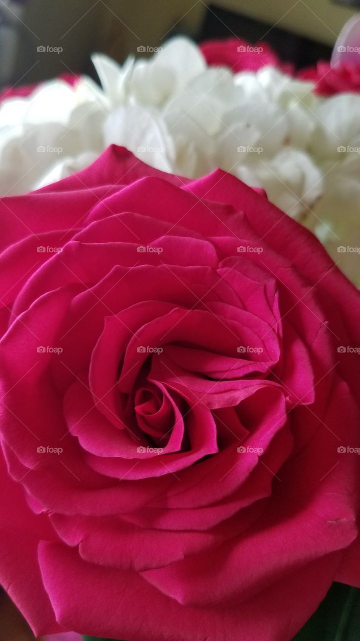 Flowers for Mother's day