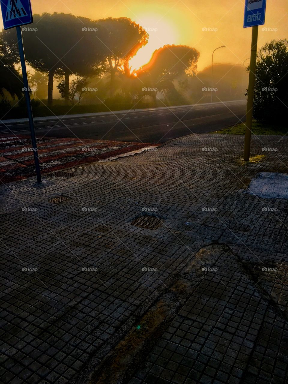 Bus station, Porto Torres Sardinia🌇