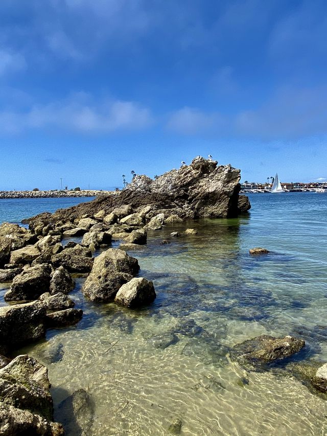 Pirates Cove Beach 