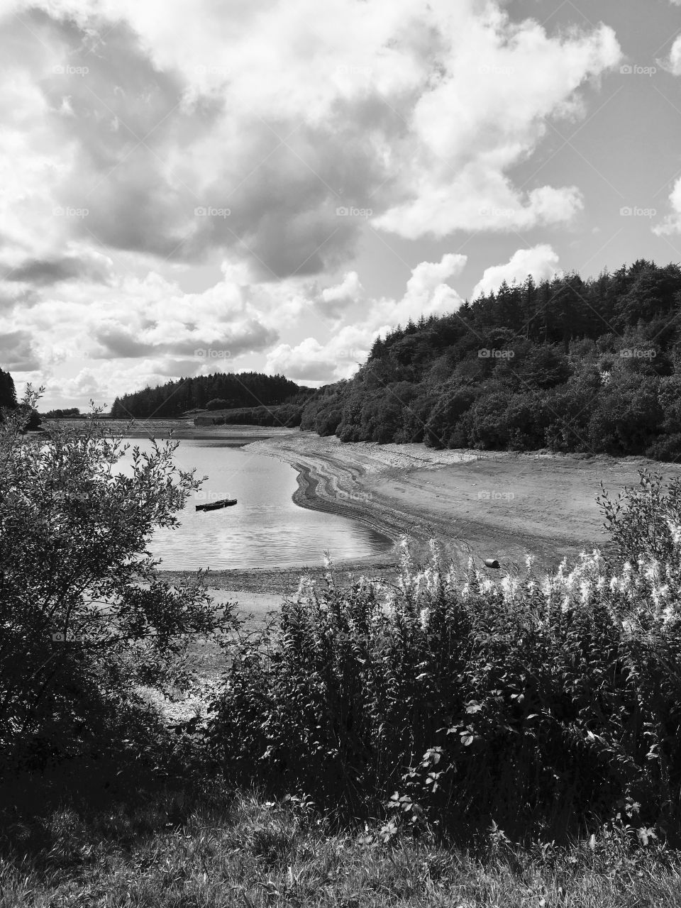 Whistland pound reservoir, Exmoor, North Devon. England. Low perspective on a summer day. In black and white 
