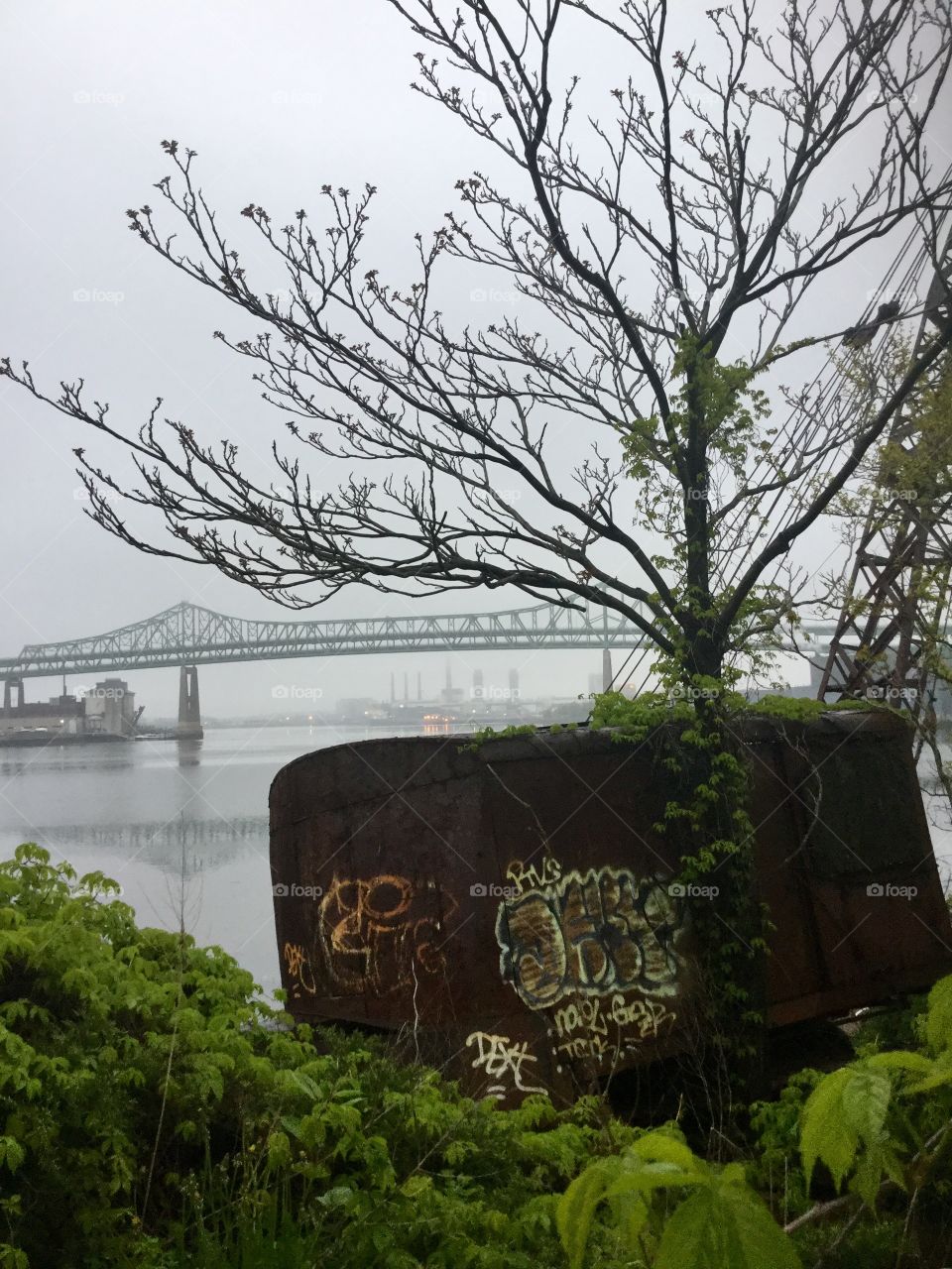 Graffiti on rock at the water by the bridge 