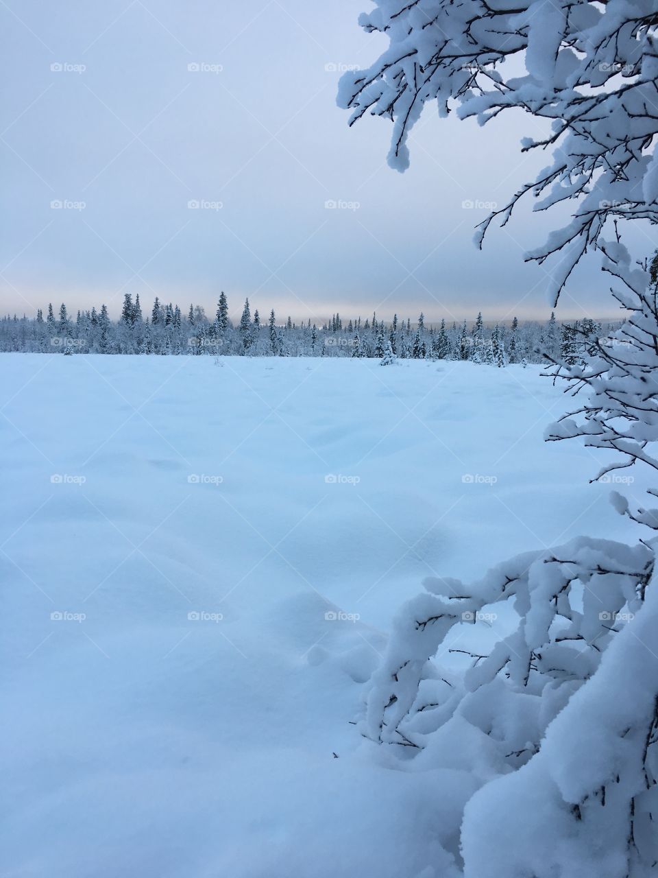 View of snowy landscape