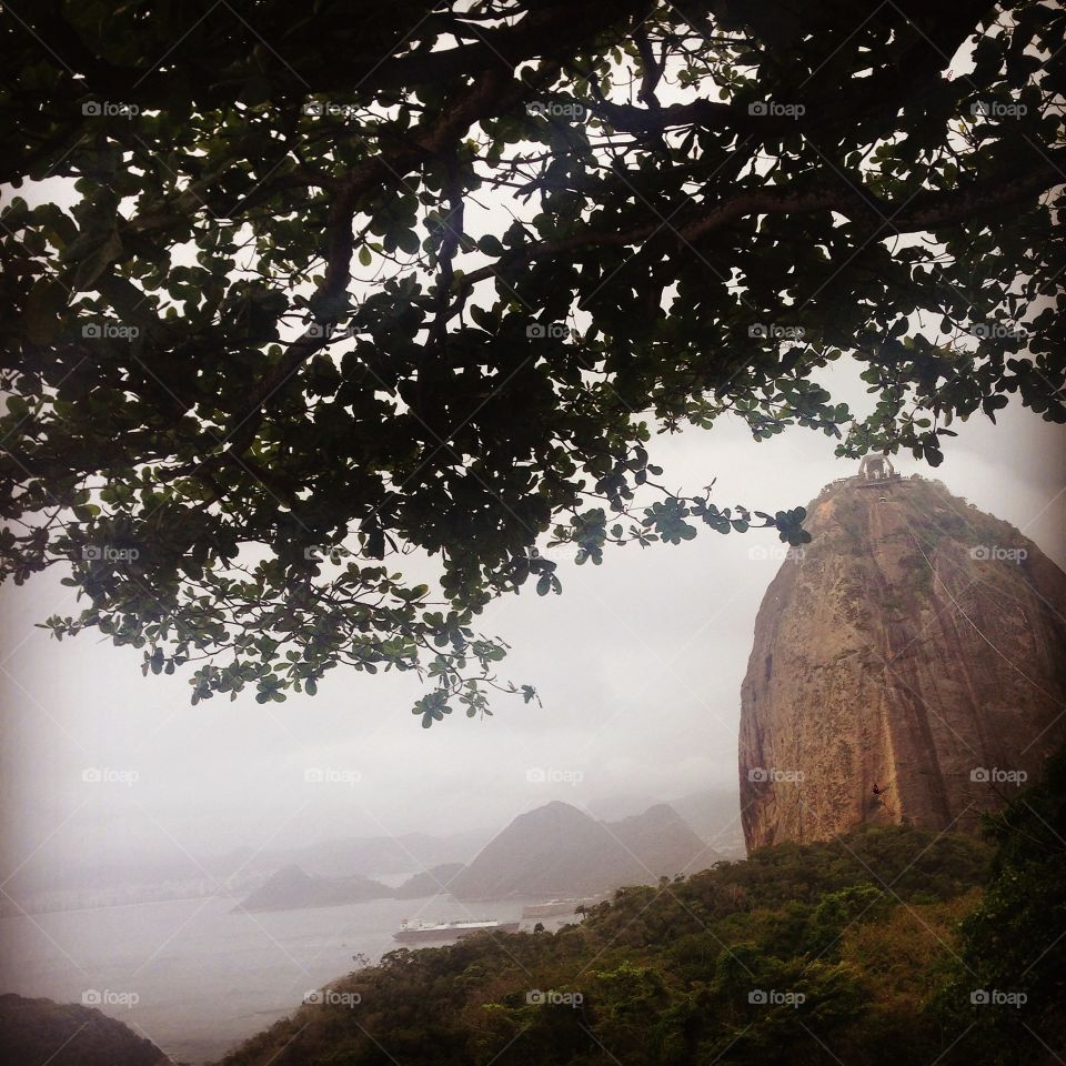 Sugar loaf